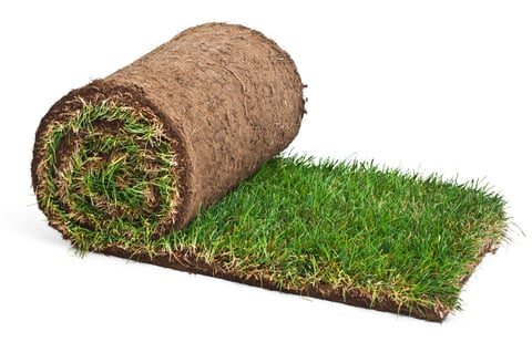 Roll of fresh sod isolated with soft shadow and loose dirt