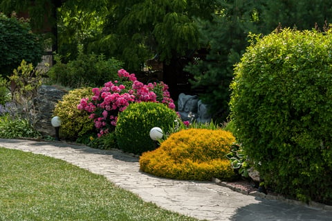 Beautiful landscape design with various bushes, conifers, and colorful flowers