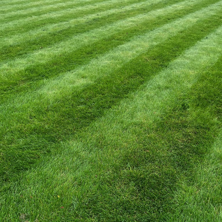 Perfectly striped lawn with clean edges