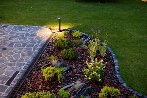 A beautifully designed garden scene with diverse plants and creative lighting