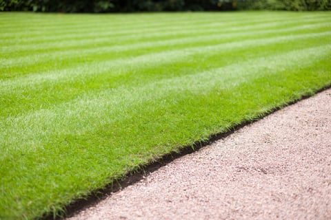 Manicured lawn and garden path