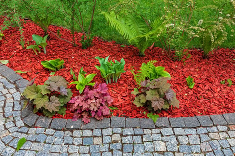 Flowerbed with red mulch under plants near stone path