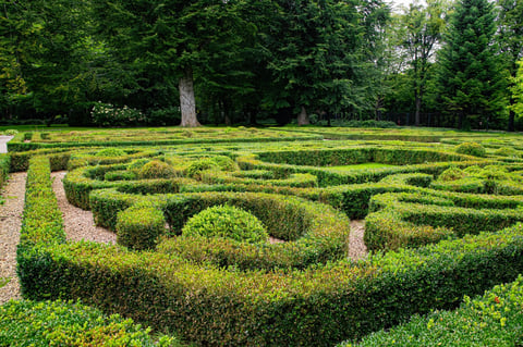 Beautiful ornamental autumn garden with trimmed boxwood bushes