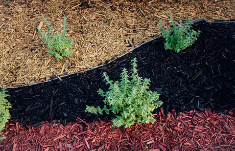 Landscaped flower bed with various colors of wood chip mulch with flowers and bushes