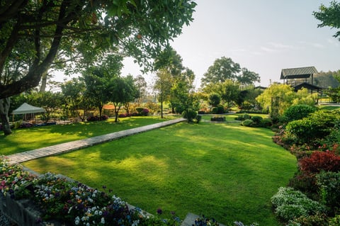 Wide angle view of landscaped garden with curved stone pathway through fresh green lawn