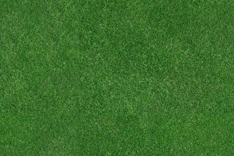 An aerial view of a large patch of freshly cut, healthy, green grass