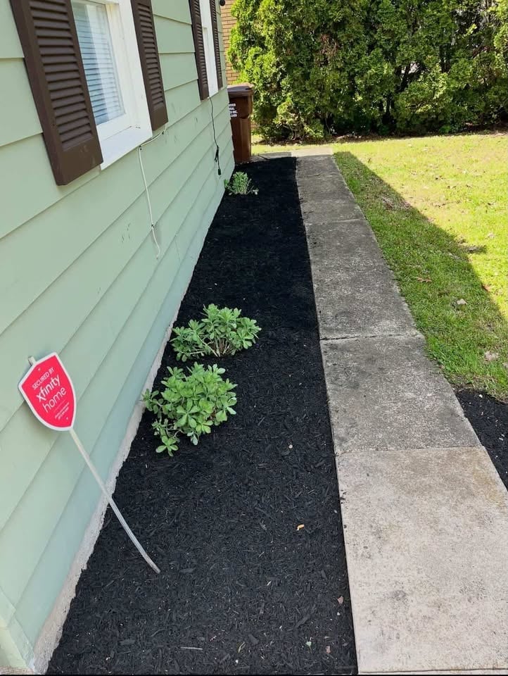 Narrow garden bed along a pale green house with black mulch, two green shrubs, a concrete walkway, and a red property marker sign